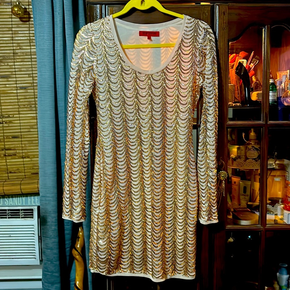 Sequin Dress long sleeve mini